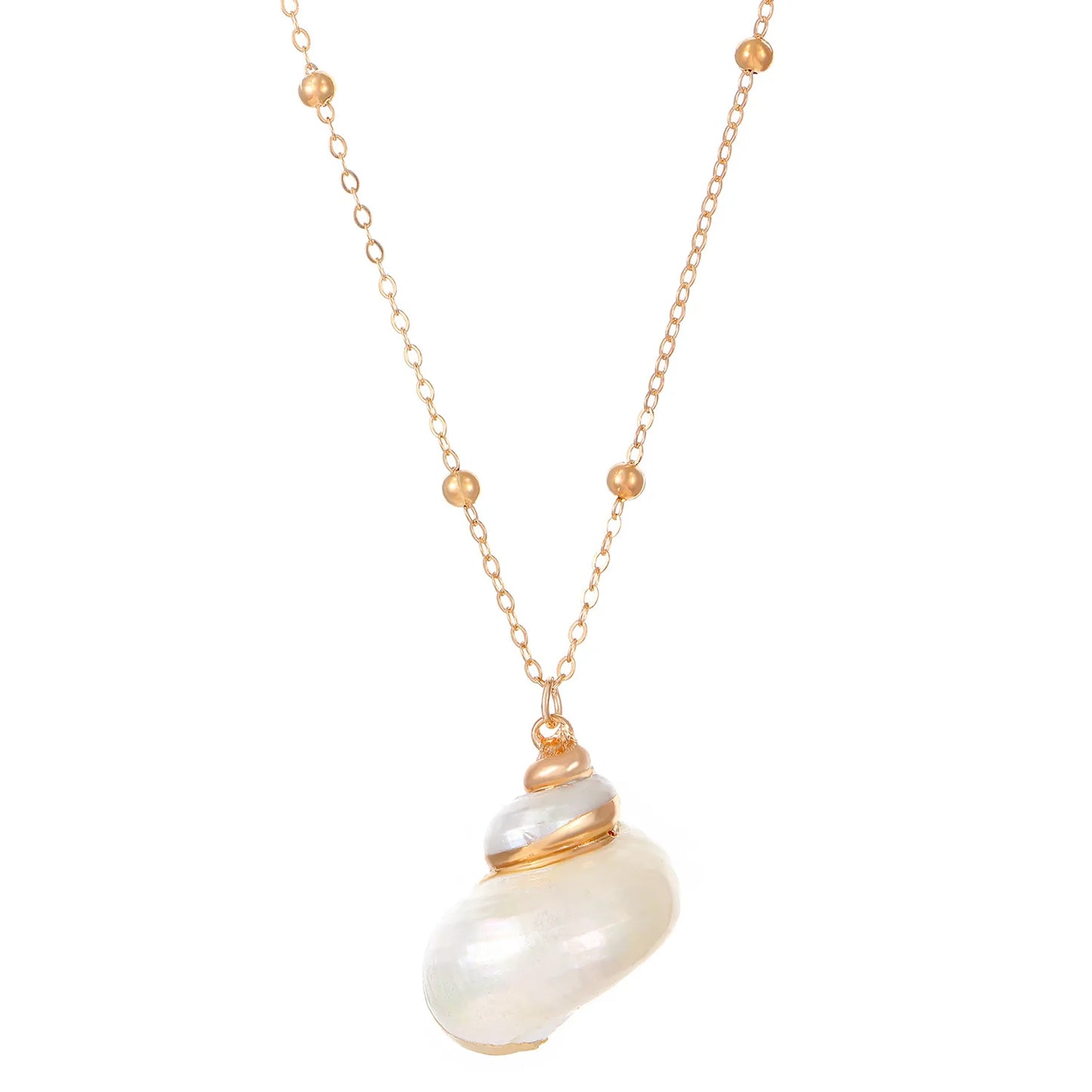 Coralie Shell Necklace